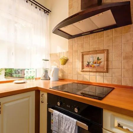 Airport Spacious Appartement *